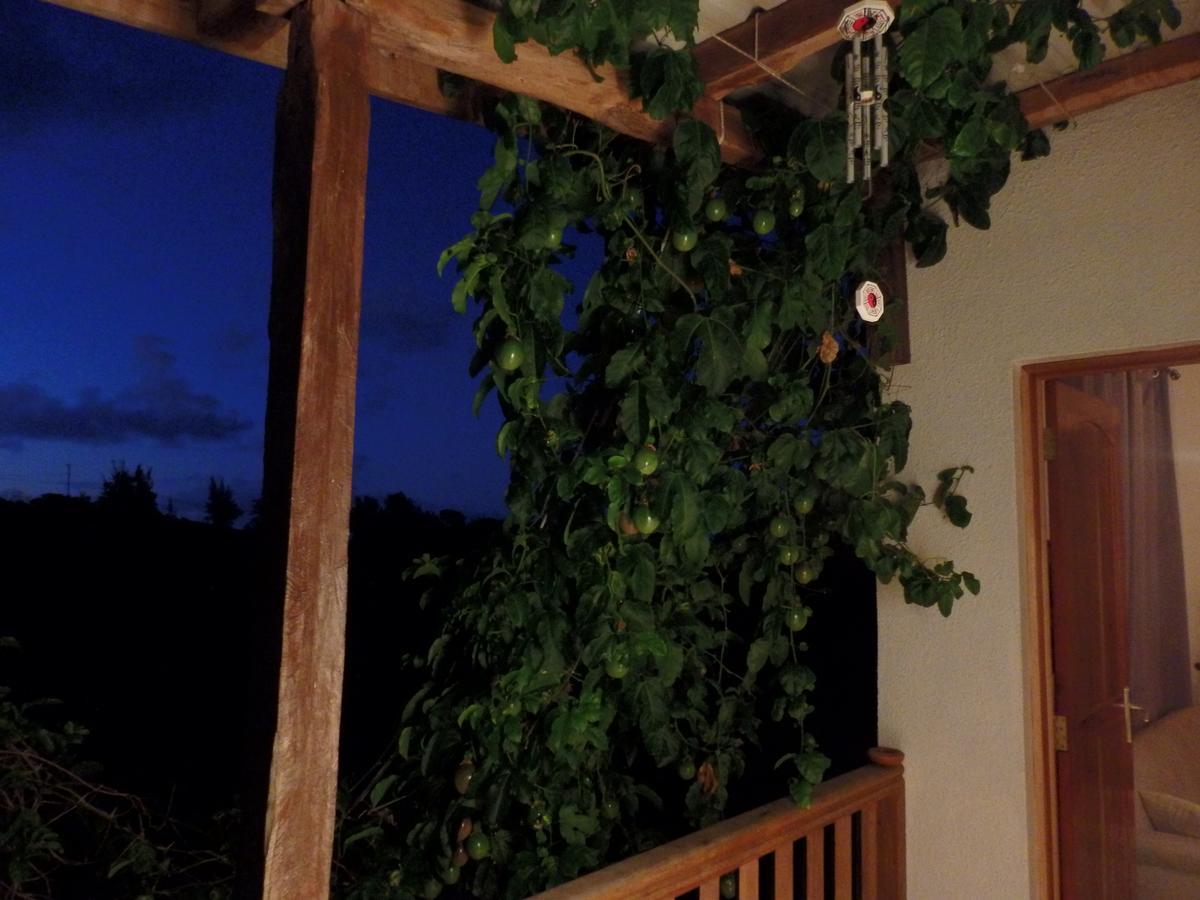 Green Wood Lodge Petit Brule Bagian luar foto